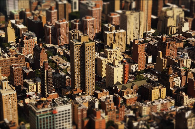 Metropolitan Delights